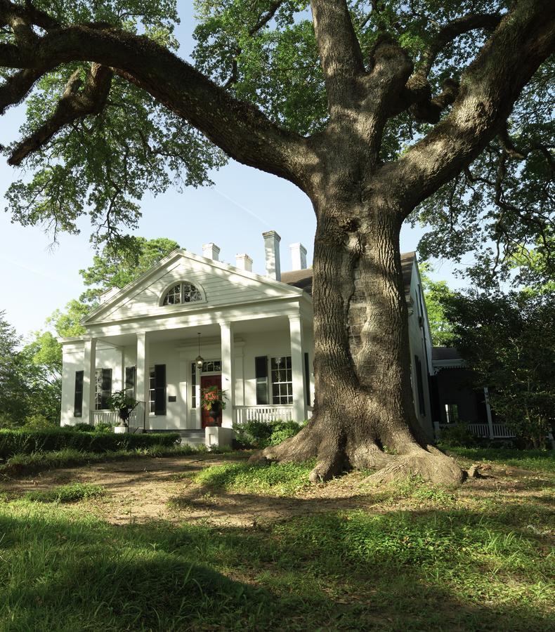 Twin Oaks Inn Natchez Exterior foto